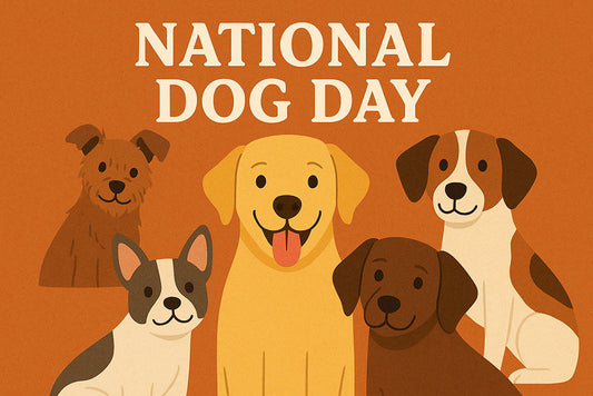 🐕A Tail-Wagging National Dog Day Announcement