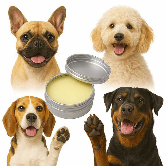 Four different breed of dogs with a tin of Scrappy to the Rescue balm