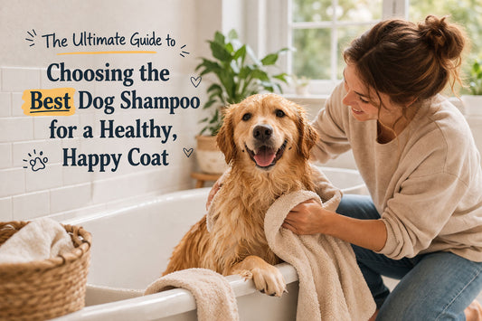 Happy dog being gently washed by its owner for a healthy, clean coat