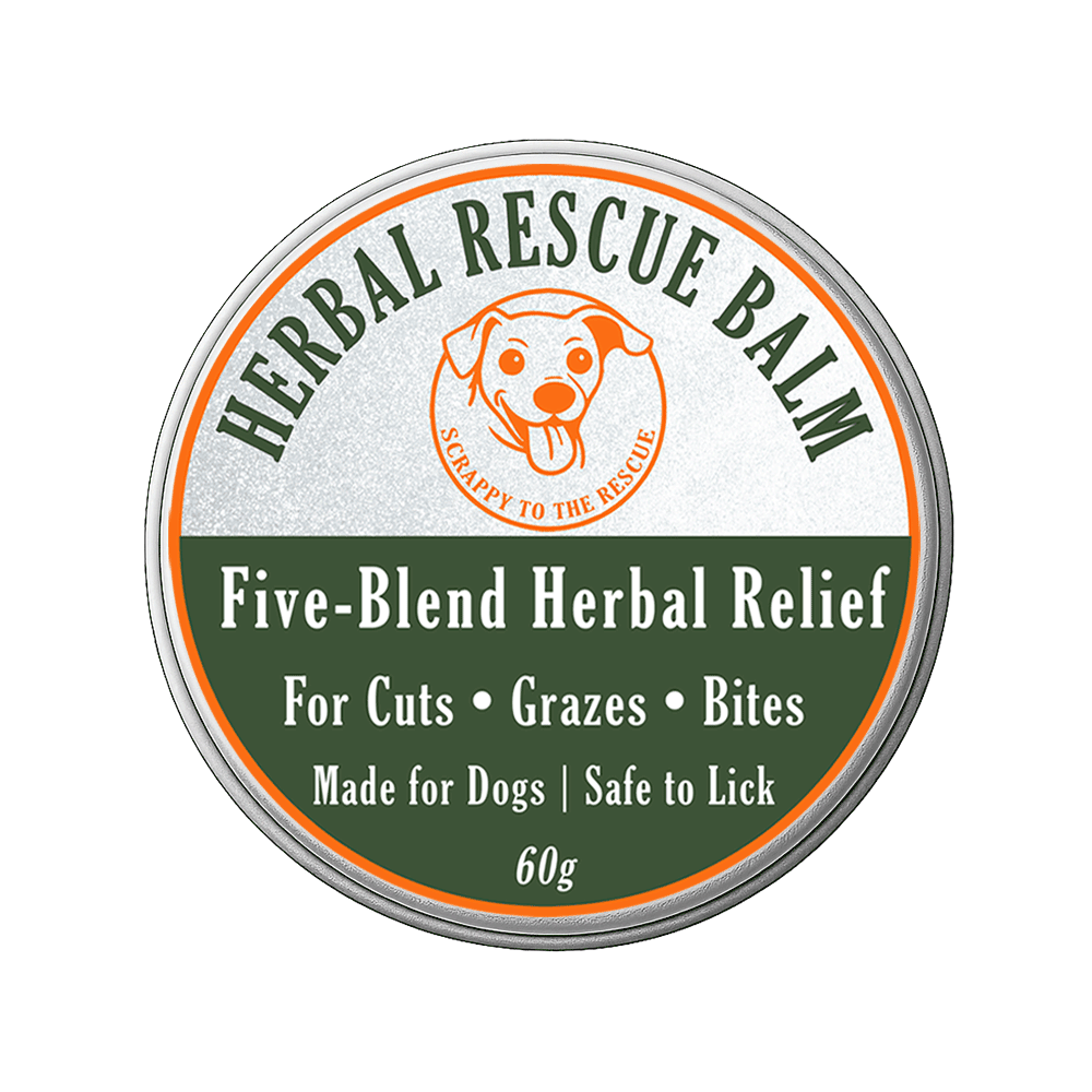 Herbal Rescue Balm container for dogs on a white background