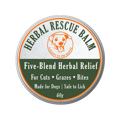 Herbal Rescue Balm container for dogs on a white background