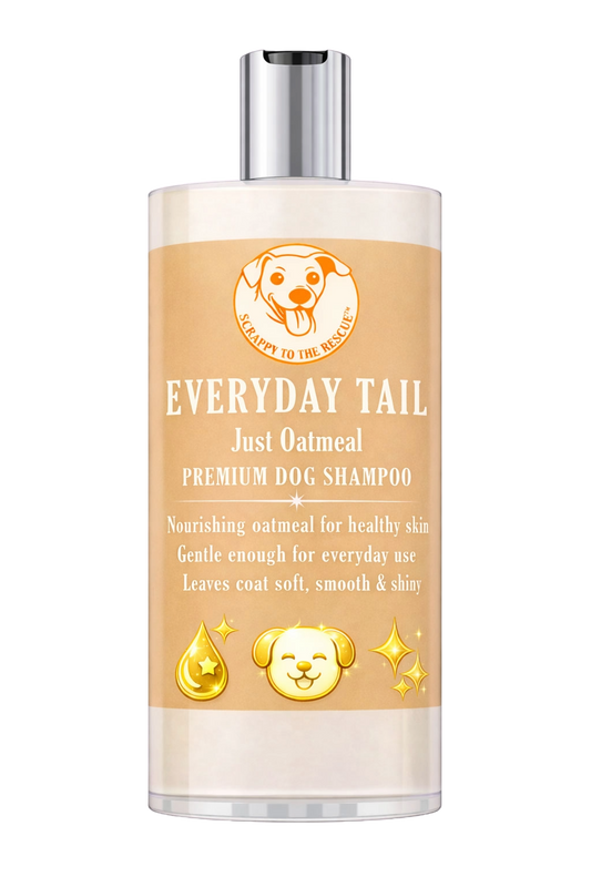 Everyday Tail Dog Shampoo