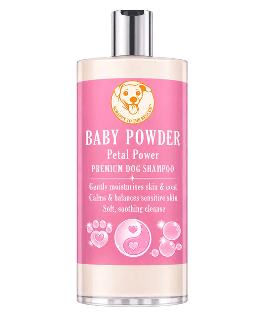 Baby Powder Petal Power Premium Dog Shampoo bottle on a white background