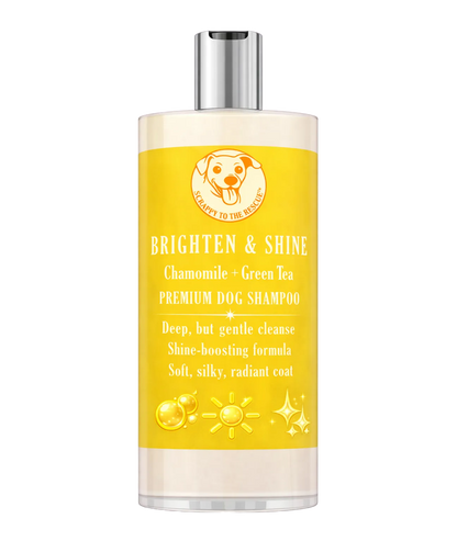 Brighten & Shine Dog Shampoo