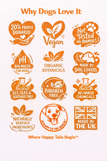 Coconut Pup dog shampoo benefits infographic showing vegan formula, organic botanicals, pH balanced for dogs, paraben free, sulphate free, essential oils and cruelty free ingredients.