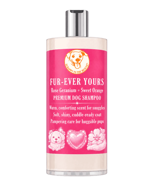 Dog shampoo bottle with pink label on a white background