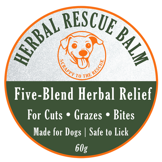 Herbal Rescue Balm packaging for dogs with a dog illustration and text on a white background