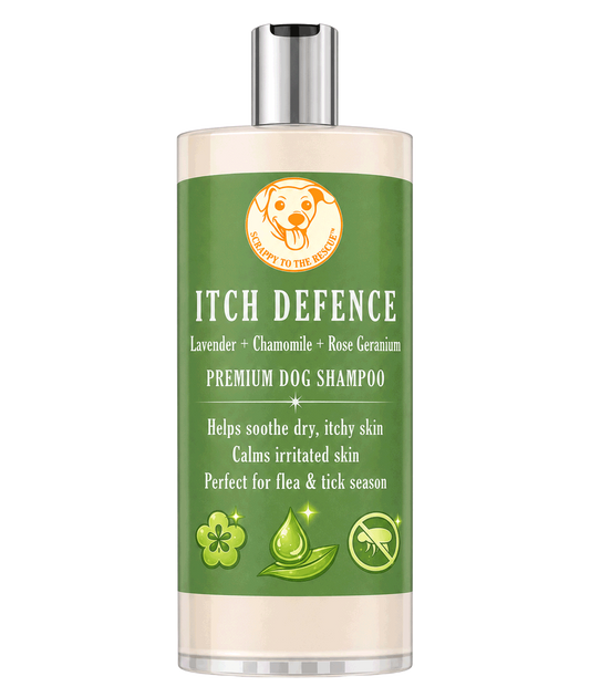 Dog shampoo bottle labeled 'Itch Defence' on a white background