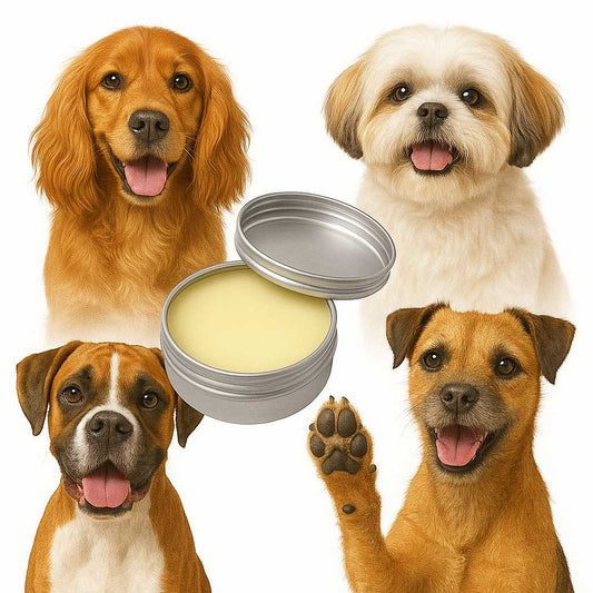 Four different breed of dogs with a tin of Scrappy to the Rescue balm