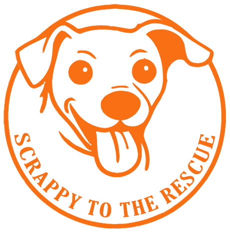 Scrappy to the Rescue
