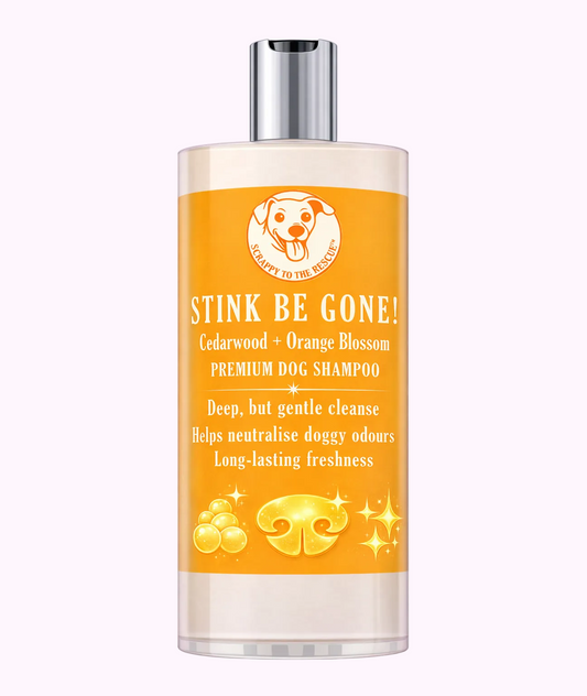 Stink Be Gone! Dog Shampoo