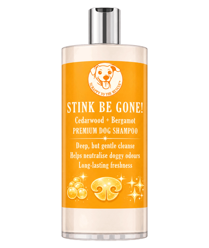 Dog shampoo bottle labeled 'Stink Be Gone' on a white background