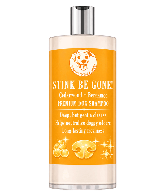 Dog shampoo bottle labeled 'Stink Be Gone' on a white background