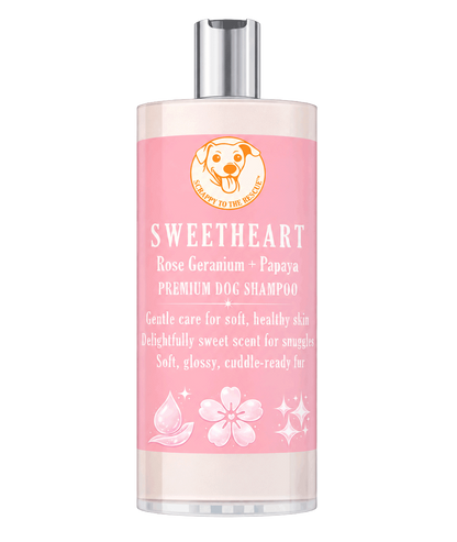 Pink bottle of Sweetheart dog shampoo with a silver cap on a white background
