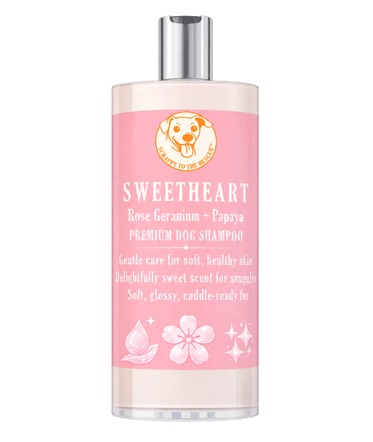 Pink bottle of Sweetheart dog shampoo with a silver cap on a white background