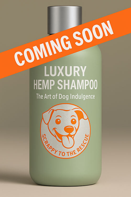 Luxurious Hemp Shampoo